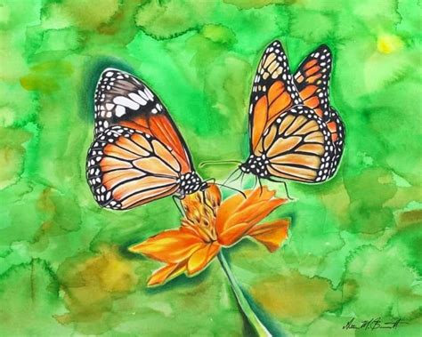 Fantastic Feats Of The Majestic Monarch Monarch Butterfly Watercolor