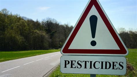Research Shows Adverse Impacts Of Glyphosate On The Human Gut