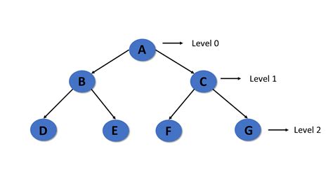 An Introduction To Tree In Data Structure 2022