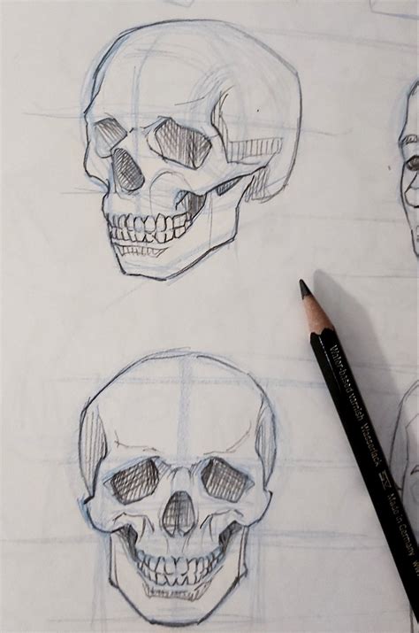 Skull Drawing Practice In 2023 Human Skull Drawing Skulls Drawing