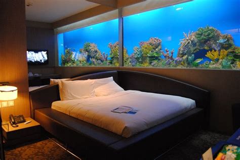 An appropriate location for placing fish tank should be selected. Pin on Aquarium Bedroom