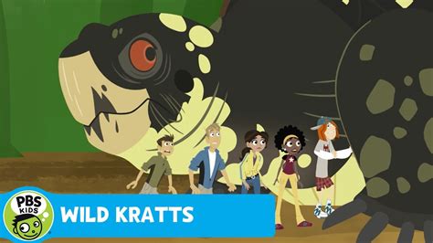 Wild Kratts Boxed In Pbs Kids Youtube