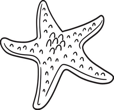 Estrella De Mar Aislada Página Para Colorear Para Niños 10788983 Vector
