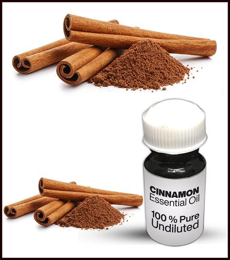 Natural Cinnamon Oil 100 Pure Cinnamon Essential Oil Etsy