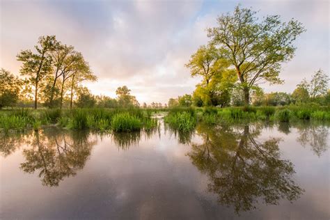 Foto Locatie Natuur In En Rond Gent Bart Heirweg