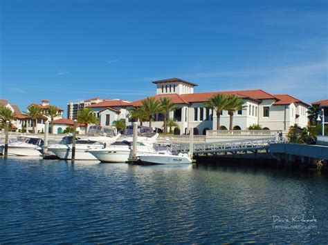 Westshore Yacht Club Marina Tampa Florida Tampa Florida Images