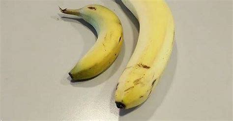 A Banana Imgur