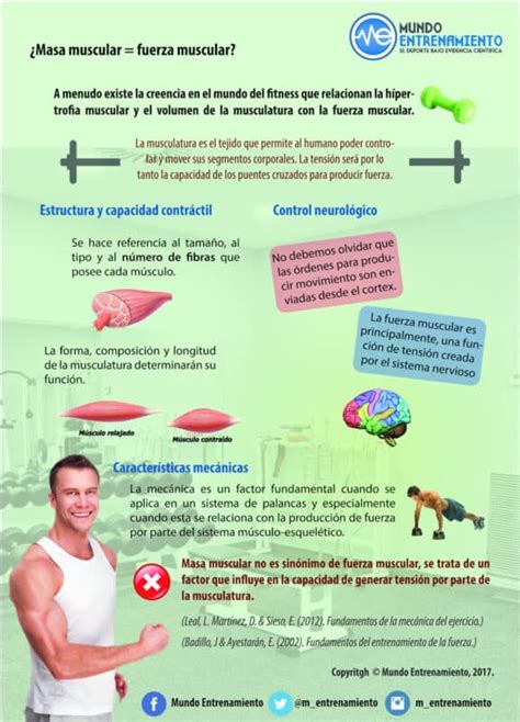 ¿masa Muscular Fuerza Muscular Mundo Entrenamiento