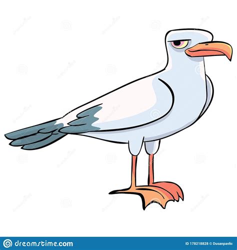 Seagull Stock Vector Illustration Of Cartoon Blue 178218828
