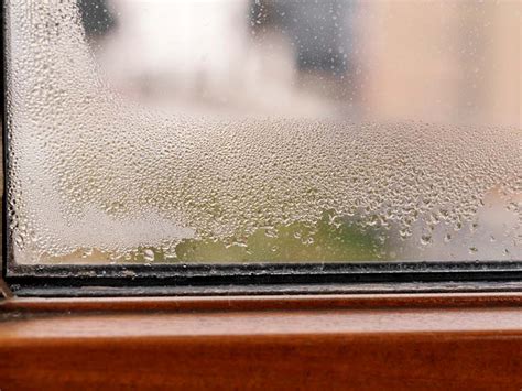 Foggy Windows Causes And Preventive Measures