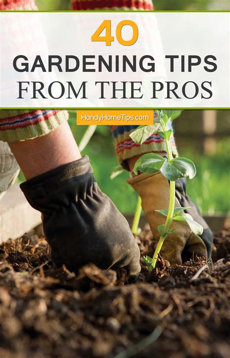 40 Gardening Tips From The Pros
