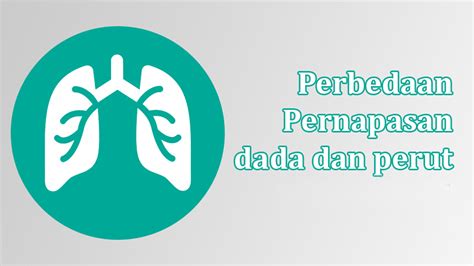 Proses pernapasan pada manusia dapat terjadi. √ Perbedaan Pernapasan Dada dan Perut | Freedomsiana