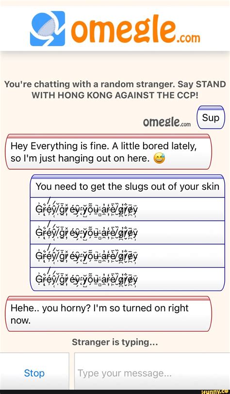 Youre Chatting With A Random Stranger Say Stand With Hong Kong