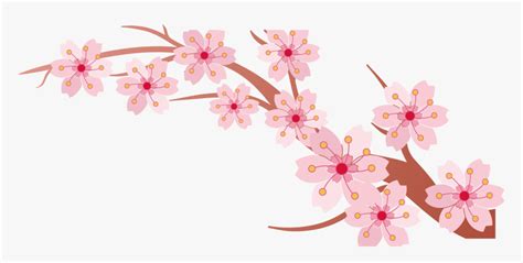Persimmon Clip Art Painted Cherry Blossoms Clip Art Hd