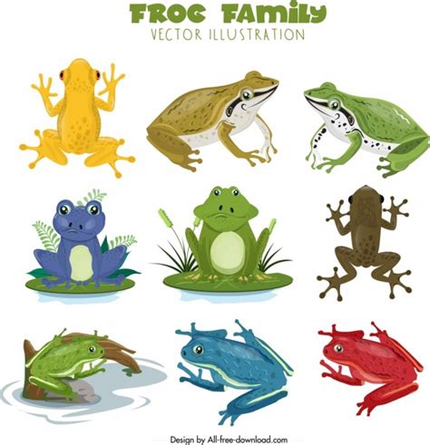 Frog Species Icons Collection Colorful Cartoon Design Vectors Graphic