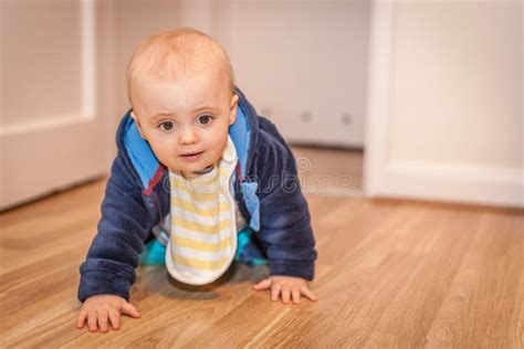 Baby Boy Crawling Stock Photo Image Of Innocence Lovely 49521328