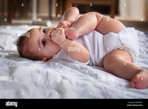Foot In Mouth Hi Res Stock Photography And Images Alamy