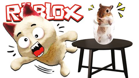 Roblox แมวอะไรกลัวหนูhamster Simulator Youtube