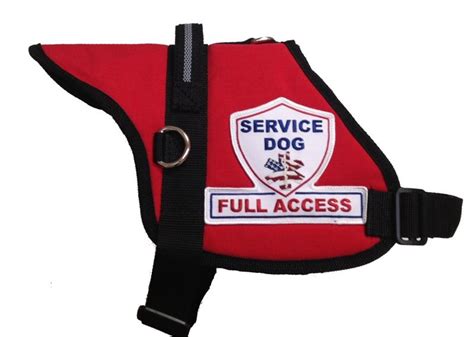 He brings back a sense of self confidence and independence to your life and, for that, you love him madly. 33 best Service Dog Vests Ideas for Your Furry Friends ...