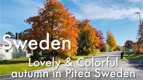 Beautiful And Colorful Autumn In Sweden Youtube