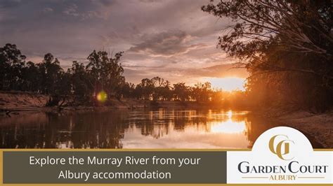 Alburys Wonder Filled Wetlands On The Magnificent Murray River