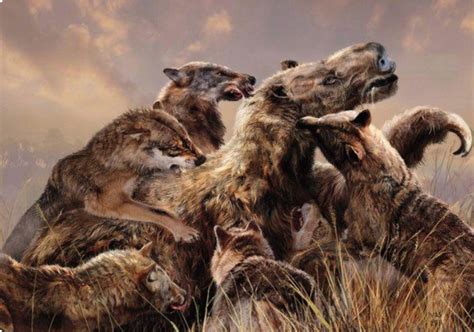 They were directly related to today's modern sloths. Velizar Simeonovski: звери и люди ушедших времен | Prehistoric animals