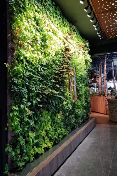 Vertical Garden Systems Green Wall Philippines Innovation Walls