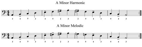 Accordion Bass Scales Am Harmonic George Whitfield