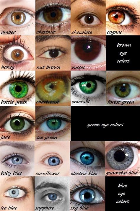 Eye Color Chart By Lemontrash On Deviantart