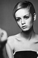 Twiggy Lawson (108 фото)