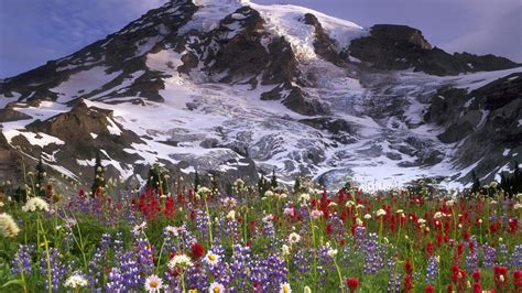 Landscape View Of Snow Covered Mountains And Closeup View Of Colorful