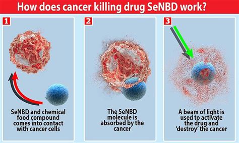 Successful Test Of Cancer Killing Trojan Horse Offers Hope For End To