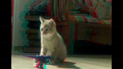 3d Anaglyph Cat Solar Dinomovie Made With 2x Kodak Zx1needs