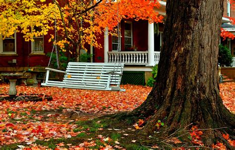 Wallpaper Road Autumn Forest Grass Leaves Trees Nature House