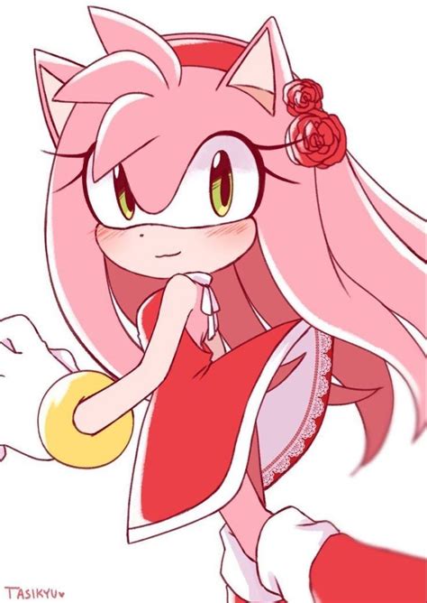 Pin By Mario Sith On Amy Rose Amy Rose Hedgehog Rosé Fanart Super
