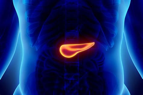 Pancreas Scan Johns Hopkins Medicine