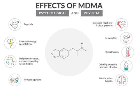 Molly Drug Effects
