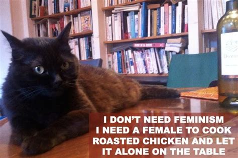 The Internet Wins With Confused Cats Against Feminism Meme Feminism