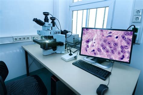 The Future Is Here All About The Evolution Of Digital Pathology