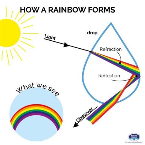 Rainbow And Double Rainbows Explained With Science Youtube