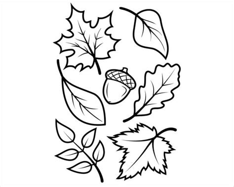 FREE 9+ Preschool Coloring Pages in AI
