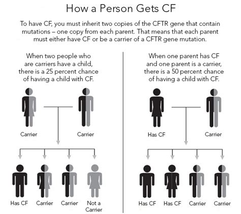 Cystic Fibrosis Cf With Dr Scott Donaldson Department Of Medicine