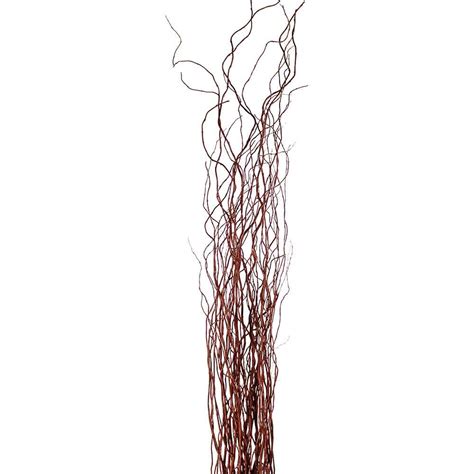 44 Best Pictures Tall Decorative Branches Decorative Natural Brown