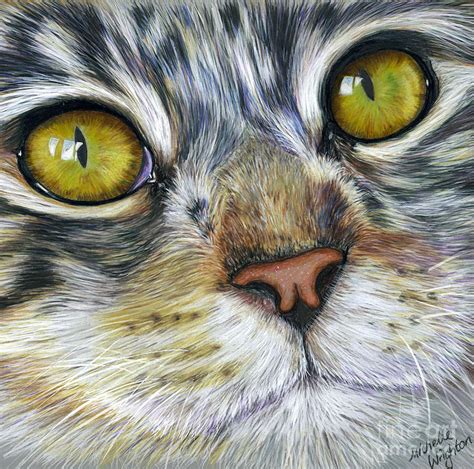 A mixture of human and catlike eyes! Creating Realistic Texture with Colored Pencil | Ms ...