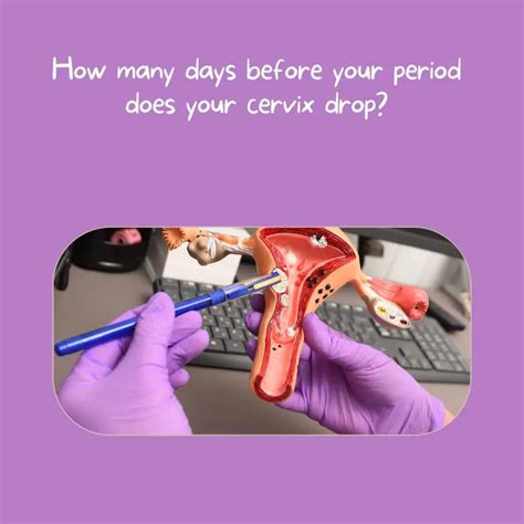 How Many Days Before Your Period Does Your Cervix Drop Best