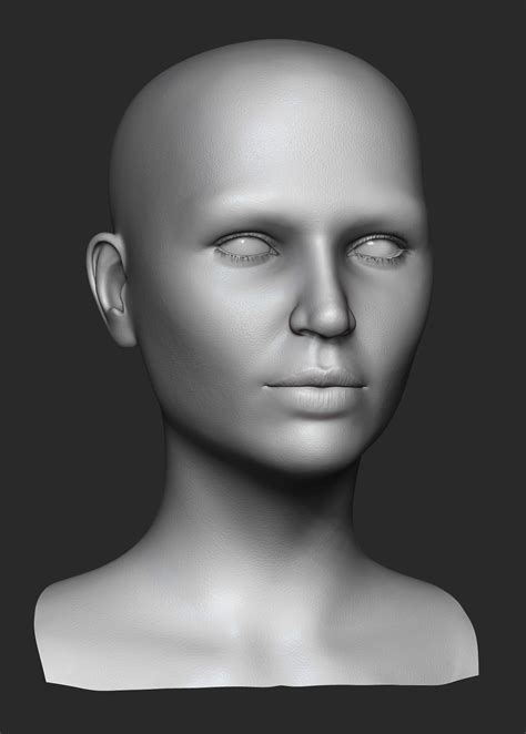 Anatomical figures, 3d figure drawing softwares, sculpting tools, videos. ArtStation - Realistic Female Head 3D Model