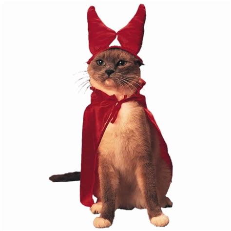 20 Of The Funniest Cats In Costumes