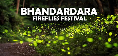 Bhandardara Fireflies Mumbaipuneadventures