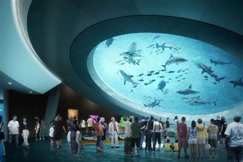 patricia and phillip frost museum of science miami attractions review 10best experts and
