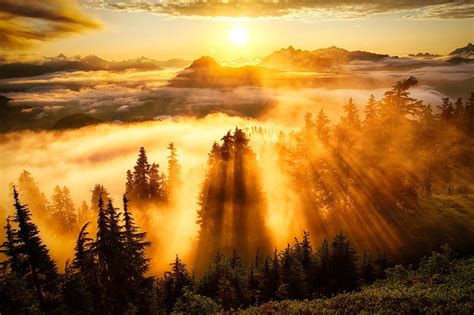 Nature Landscape Forest Mountain Sun Rays Wallpaper Coolwallpapers Me
